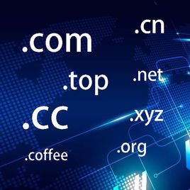 利用老域名打造新站快速收錄排名！-老域名