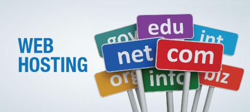 百度SEO，避險之域名首選域，新老站必看！-老域名